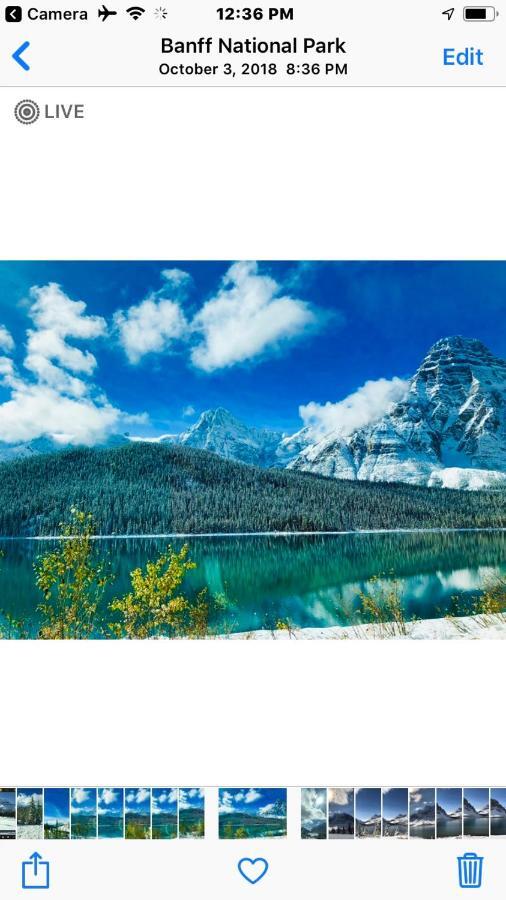 Greenwood Lodge Джаспър Екстериор снимка